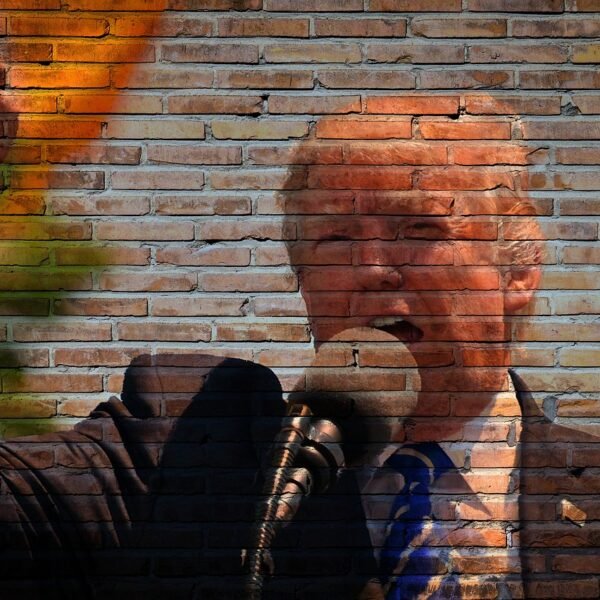 La sauvegarde des valeurs québécoises à l’ère Trump…